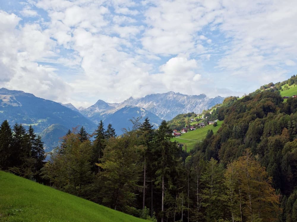 View from property
