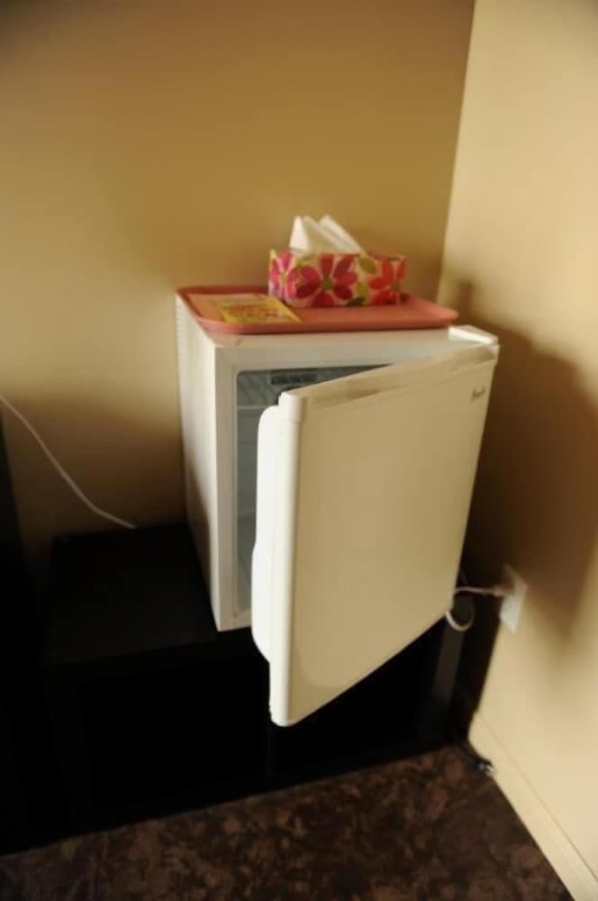 Mini-refrigerator