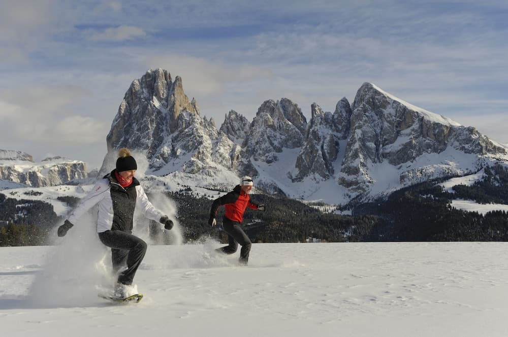Snowshoeing