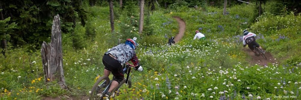 Bicycling