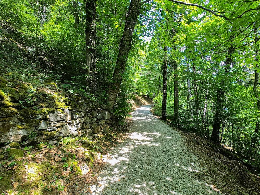 Hiking