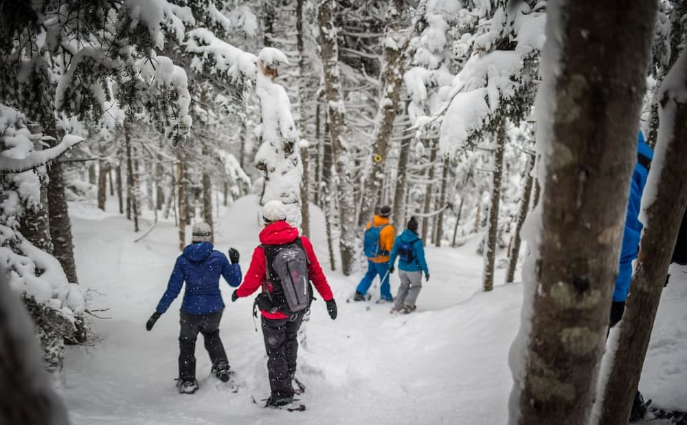 Snowshoeing