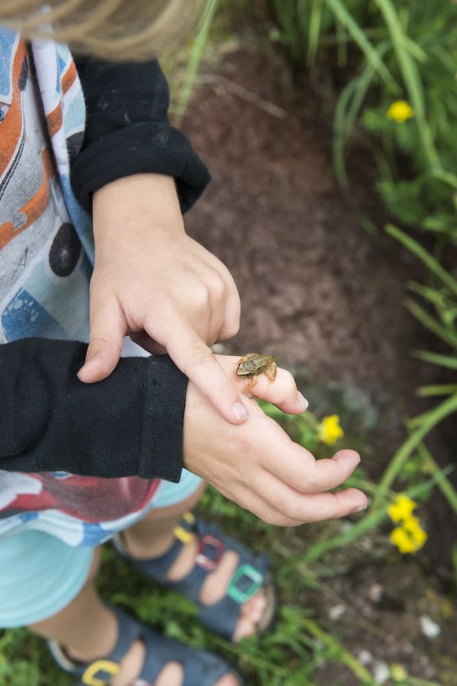 Children's activities