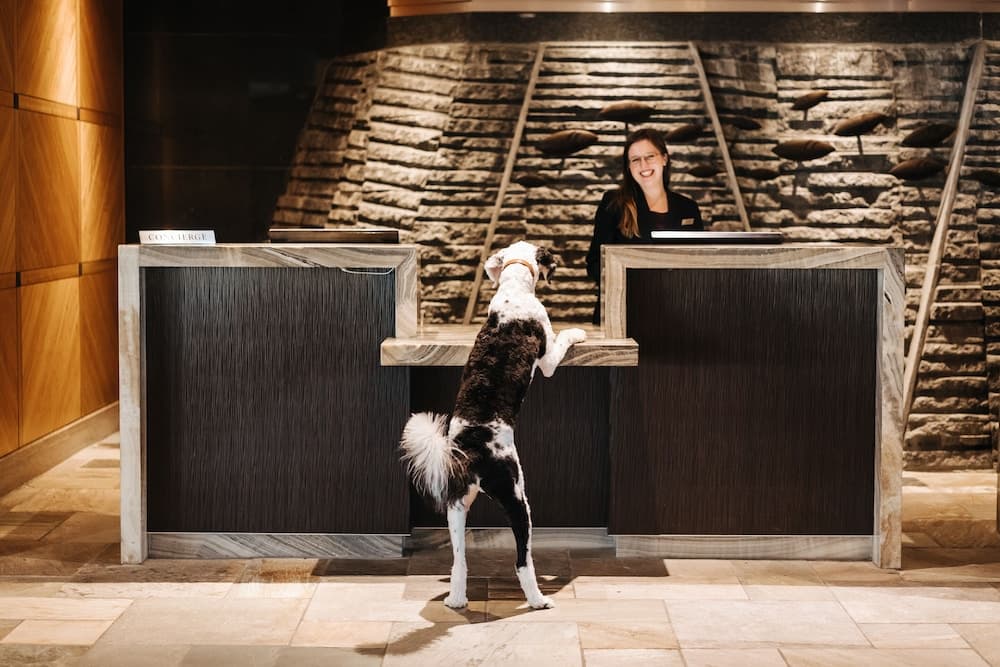 Pet-friendly