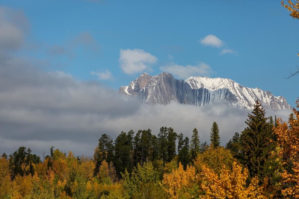 Mountain view