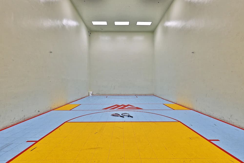 Sport court