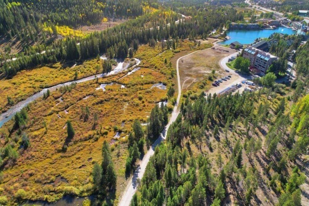 Primary image